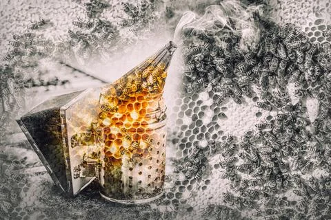 Smoke beekeeper for processing bees by smoke. Painting effect. Fotos de archivo