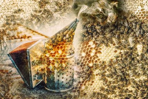 Smoke beekeeper for processing bees by smoke. Painting effect. Fotos de archivo