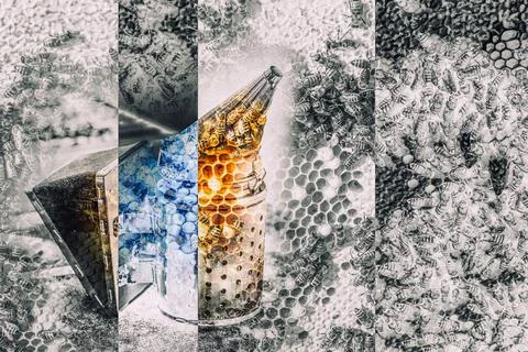 Smoke beekeeper for processing bees by smoke. Painting effect. Fotos de archivo