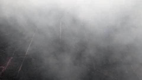 Smoke billows across dark, charred earth Stock Footage 333048412