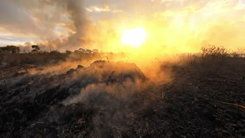 Smoke billows from burning brush left after a wildfire near the Amazon Stock Footage 159600408
