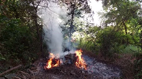 Smoke billows from the fire Stock-Footage 260325887