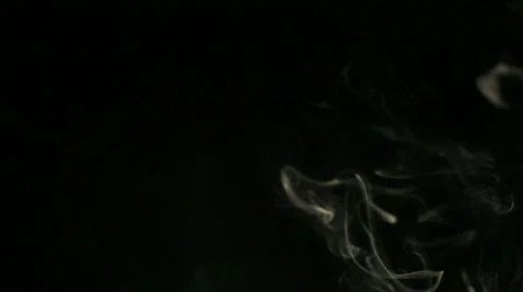 Smoke on Black Background Video stock 767802