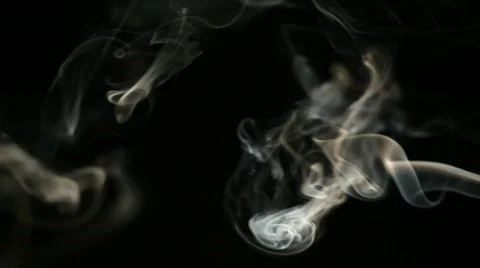 Smoke on Black Background Video stock 767812