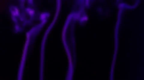 Smoke on black background 库存影片 41018947