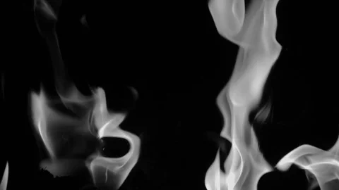Smoke On Black Background Video stock 71316760