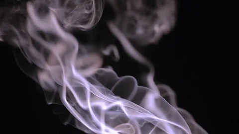 Smoke on a black background Stock Footage 79056646