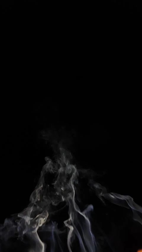 The smoke on a black background Video stock 325981434