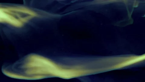 Smoke On Black Background, Slow Motion Vidéo 156428293