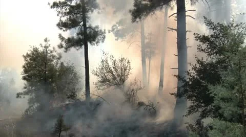 Smoke Blanket Stock Footage 9397325