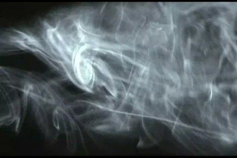 Smoke blowing in breeze Stock Footage 562499