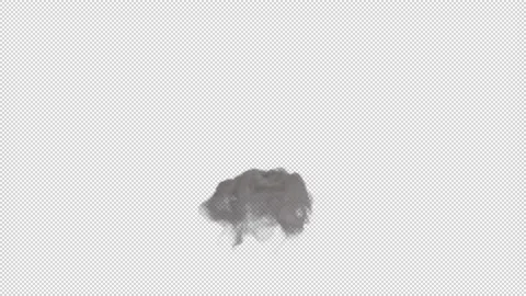 Smoke blowing rising on alpha background Stock Footage 237610273