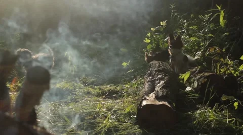 Smoke blows past camera as two little dogs watch Stock Footage 40214548