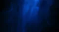 Smoke Blue LM12 HD Footage