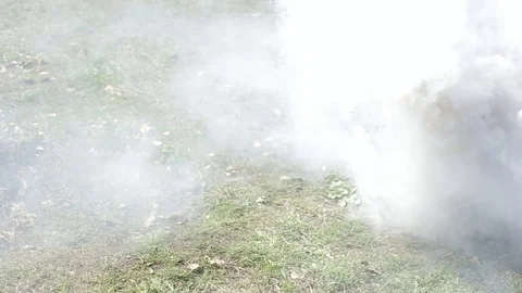 Smoke bomb in action on glade Stock Footage 89434816
