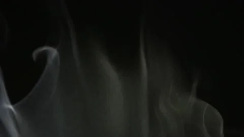 Smoke from bottom to top. Cloud of cold fog on black background Stock Footage 171366247