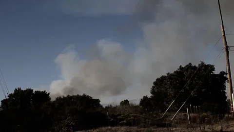 Smoke from brush fire Stock Footage 114415369
