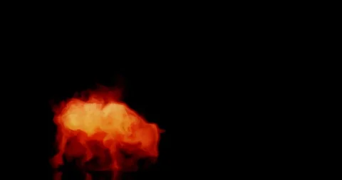 Smoke Bull 库存影片 106823560