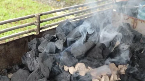 Smoke from burning (2) Video stock 280117979