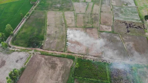 Smoke from burning Asian rice fields 스톡 동영상 106514091