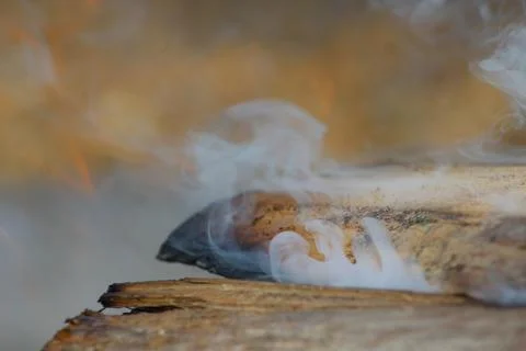 Smoke Burning In Camp Fire Photos