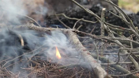 Smoke from a Burning Campfire Stock Footage 283307429