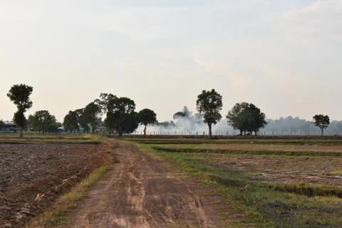 Smoke from burning fields Stock Photos