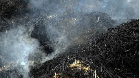 Smoke from burning straw with abstract patterns, shapes and textures Stock Footage 291459596