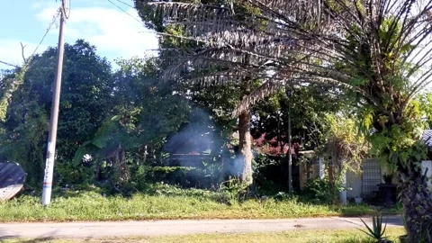 Smoke from burns garbage Stock Footage 147369631