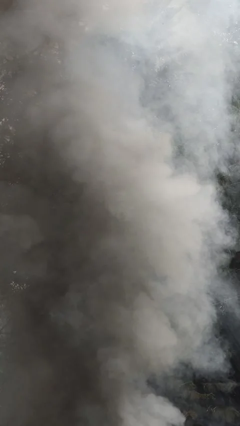 Smoke from burnt leaves Stock Footage 285096622