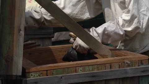 Smoke calming down bees in a hive. Video stock 219226483