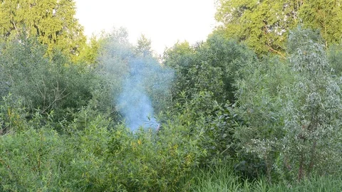 Smoke from a campfire or fire on a summer day Video stock 120182211