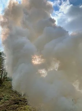 Smoke from the campfire Stock Photos