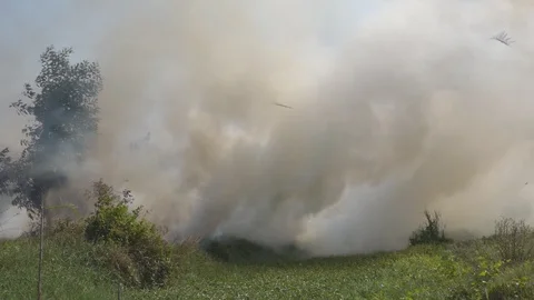 Smoke caused by forest fires 스톡 동영상 104738558