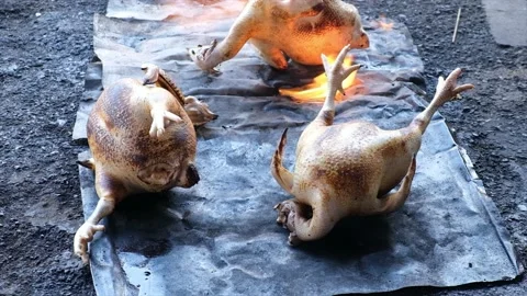 Smoke Chicken Stock Footage 171275381