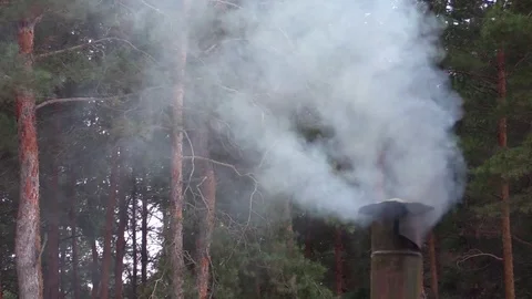 Smoke from the chimney on the background of pine forest. Stock Footage 74622591