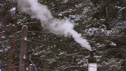 The smoke from the chimney on the background of snowy pine trees Stock-Footage 71362052