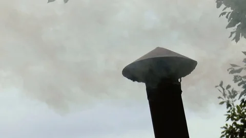 Smoke from the chimney Stock Footage 78311559