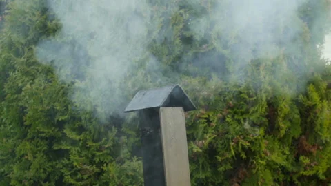 Smoke from the chimney Stock Footage 131542939
