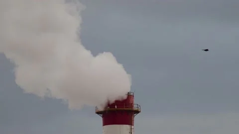 Smoke from chimney Stock Footage 163118782