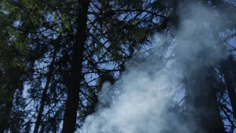 Smoke from a chimney in the forest 스톡 동영상 219488830