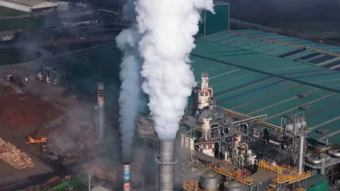Smoke From Chimneys Of Timber Mill In Daytime Stock Footage 268855774