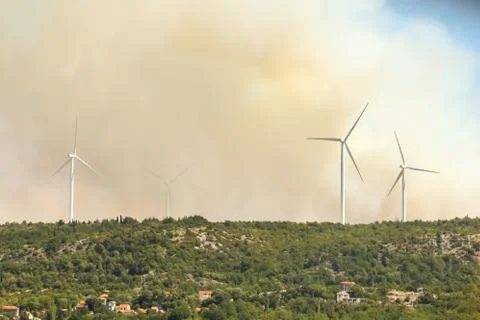 Smoke cloud from forest fire Stock Photos