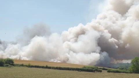 Smoke cloud from wildfire Stock Footage 245395278