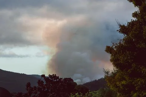 Smoke clouds from fuel reduction controlled burns among thick vegetation Stock Photos