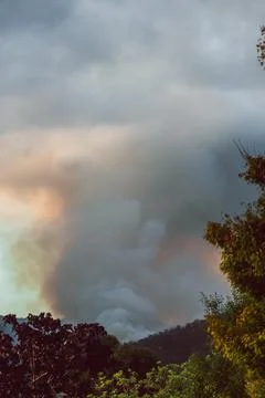 Smoke clouds from fuel reduction controlled burns among thick vegetation Stock Photos