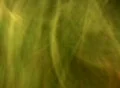 Smoke Color Mix 01 Loop Web Footage