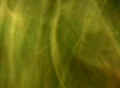 Smoke Color Mix 01 Loop Footage