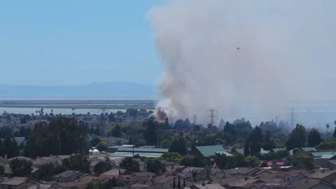 Smoke Column Builds Over Marshland Beside Power Lines and Suburban Rooftops Video stock 342462296