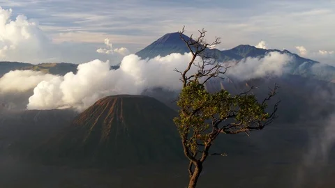 Smoke comes from the Mount Bromo Video stock 85297000